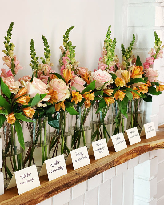 The Secret to Cut-Flower Longevity!