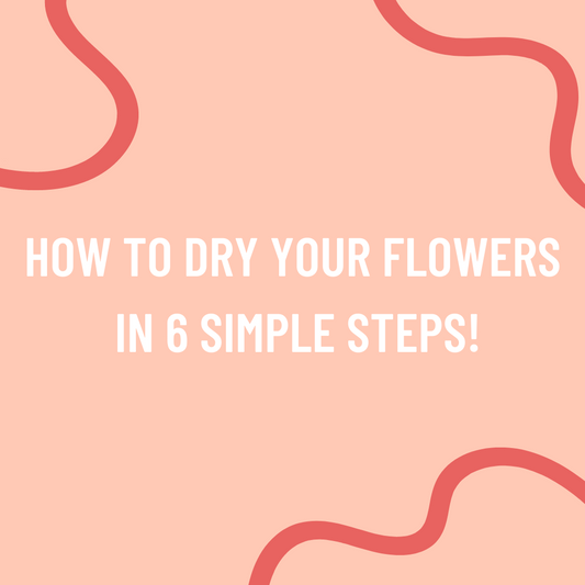 How to dry your flowers in 5 simple steps