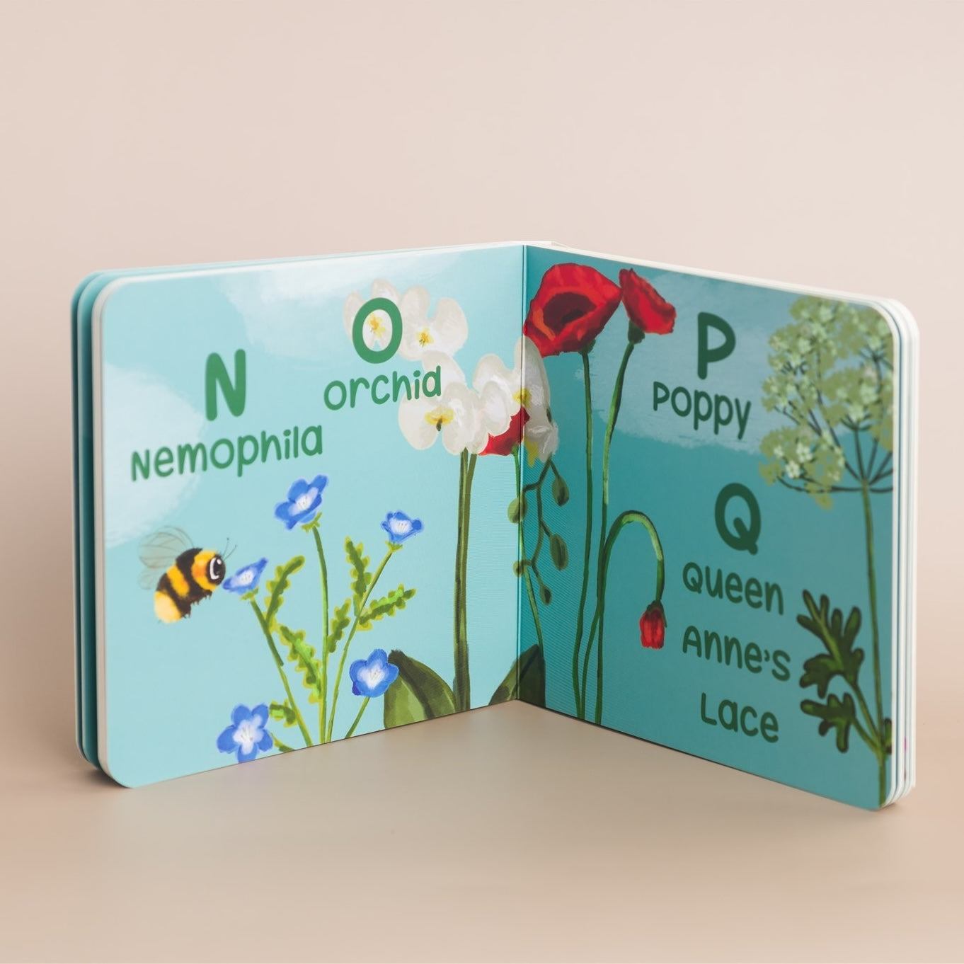 A Bee Sees the ABCs Board Book interior pages