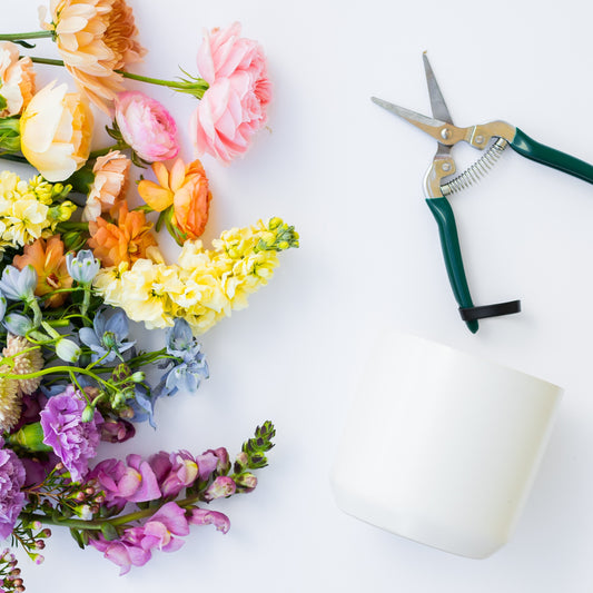 April color palette: pastel rainbow flowers -  Workshop - Color Theory Series