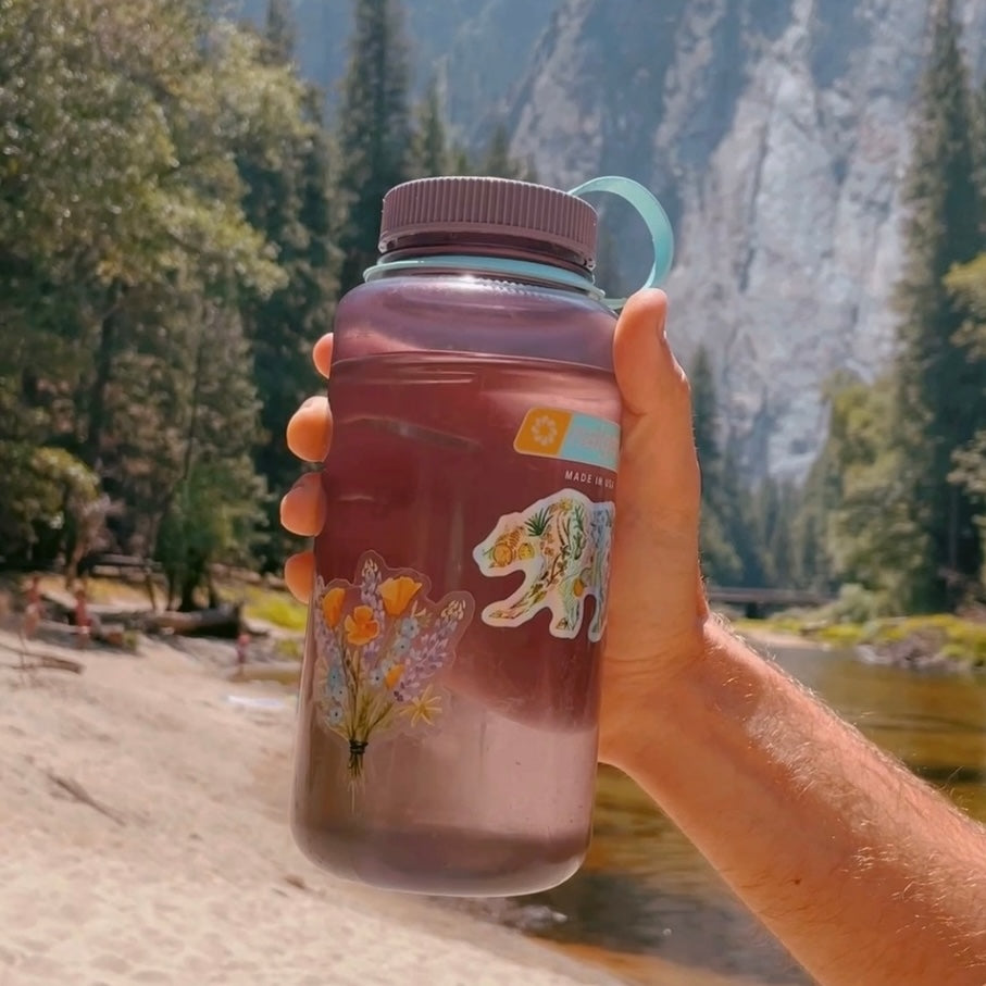 California Bear Flora Sticker on a water bottle on a hike