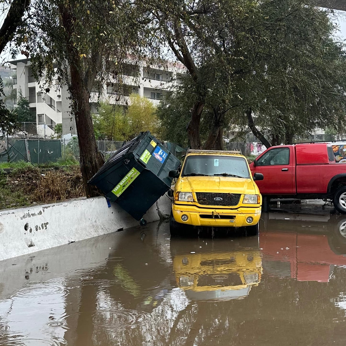 Native Poppy's green waste bin lifted onto a car after a flood