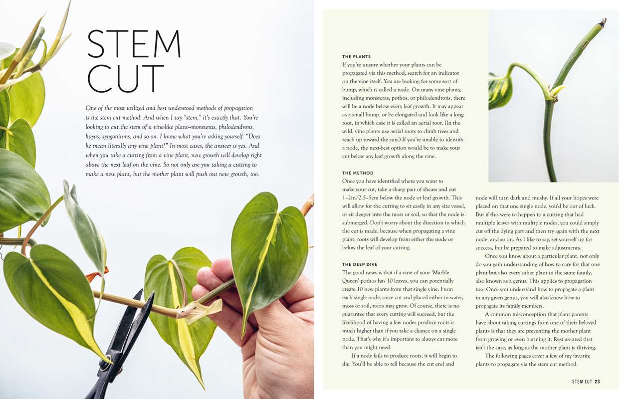 Interior pages Propagation Handbook By Hilton Carter