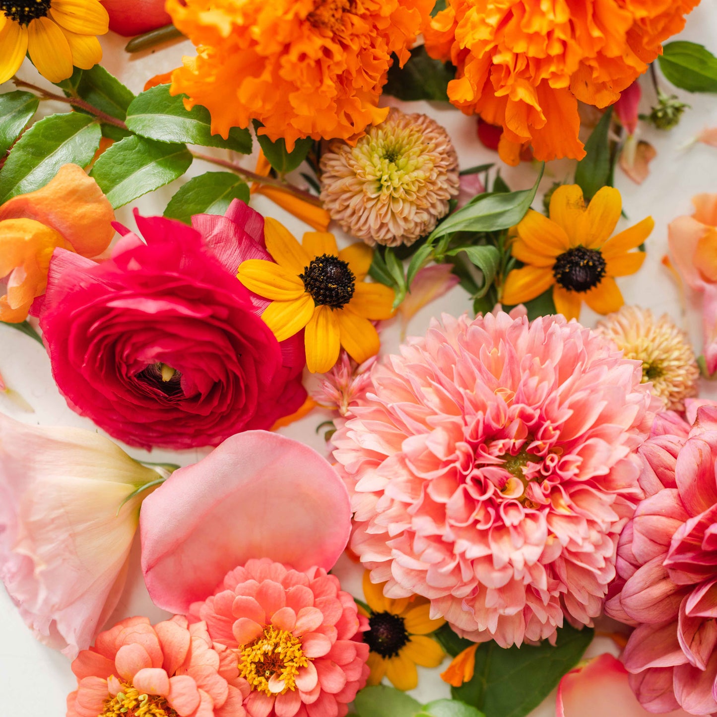 Bright + Cheery flower color palette from Native Poppy