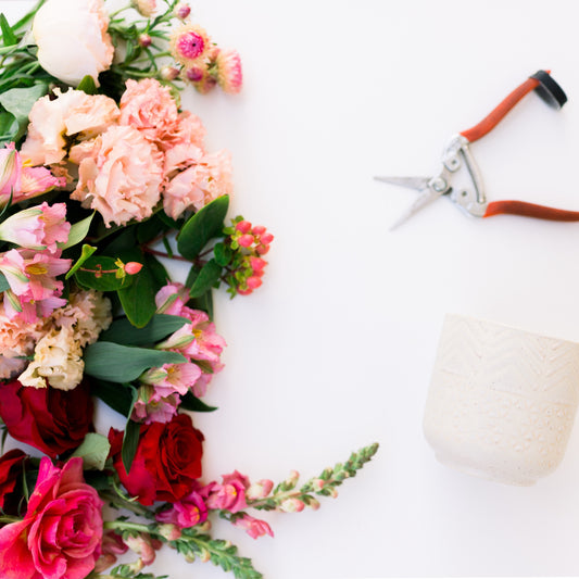 Red, pink, peach and fuchsia flowers on white background