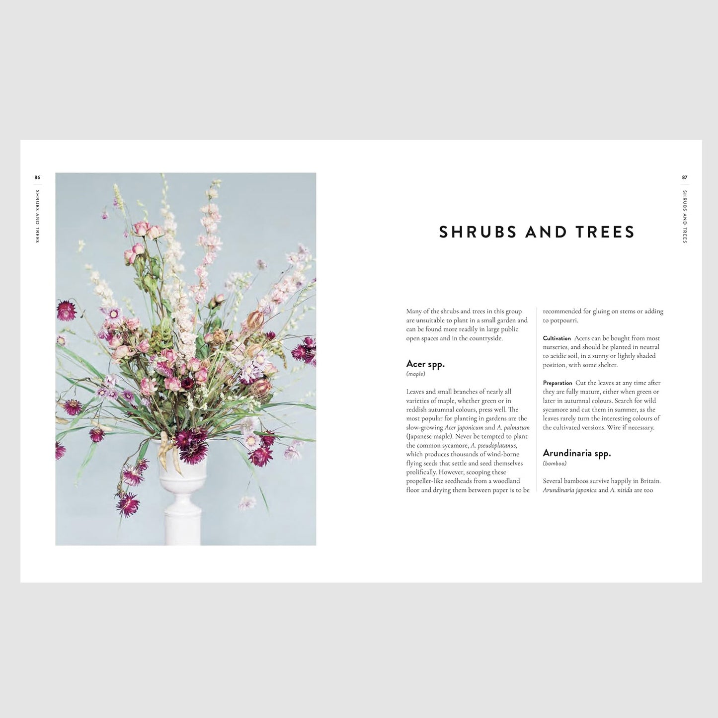 Forever Flowers by Ann Lindsay Mitchell - interior page