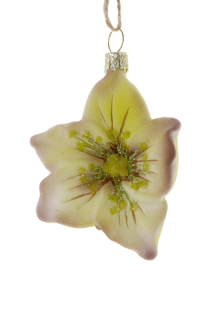 Glass Hellebore Ornament