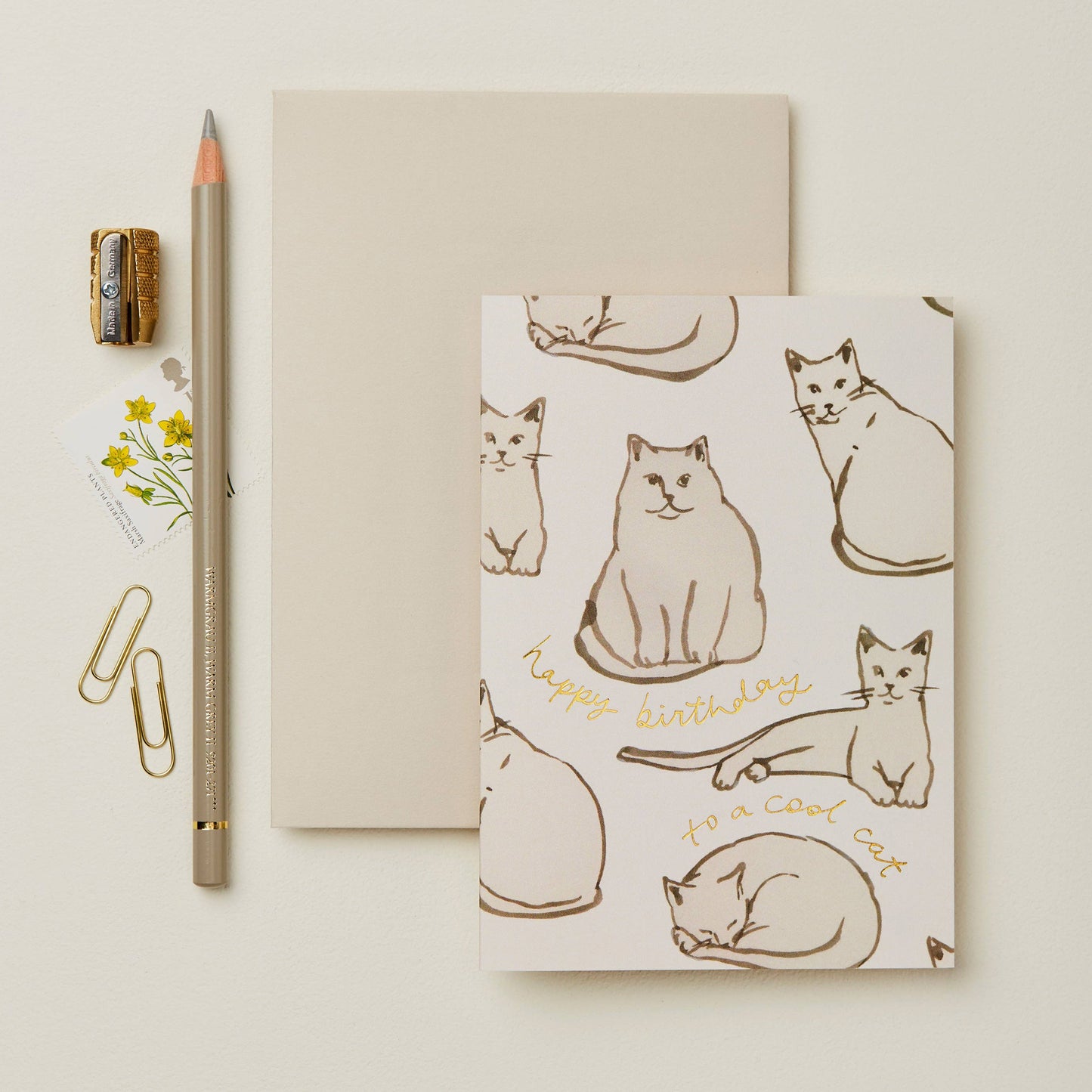 Cool Cat Birthday Card | Wanderlust Paper