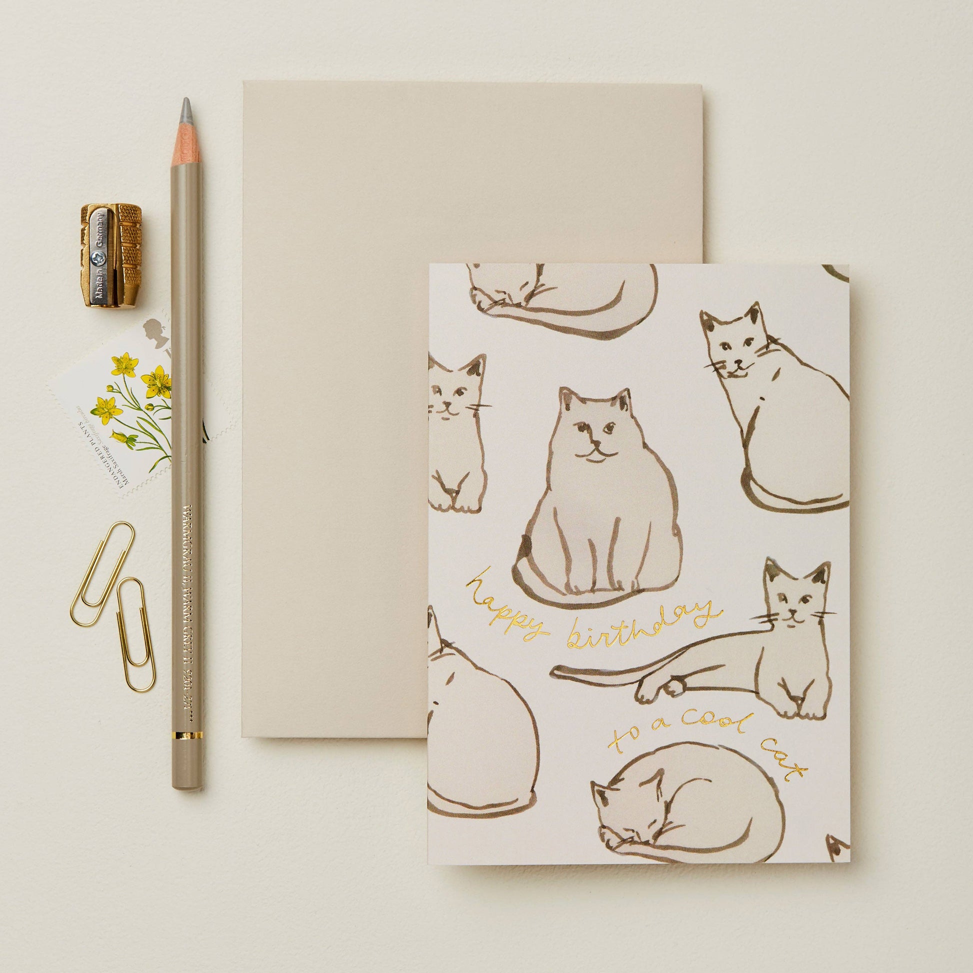 Cool Cat Birthday Card | Wanderlust Paper