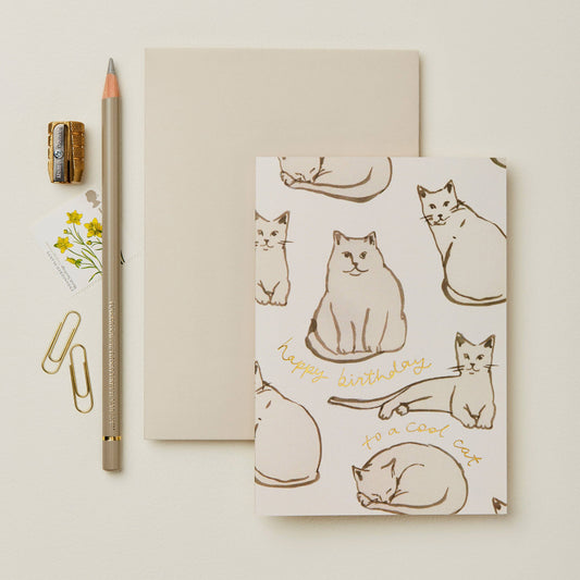 Cool Cat Birthday Card | Wanderlust Paper
