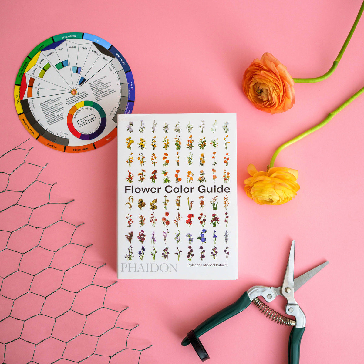 DIY Flower Arrangement Kit + Fresh Flowers Native Poppy