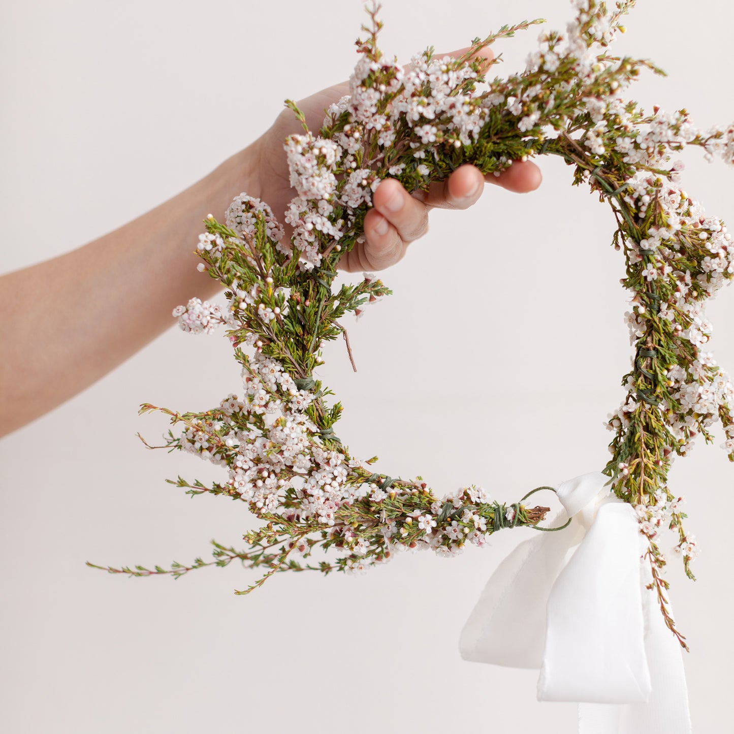 Mini white flower dog collar for weddings