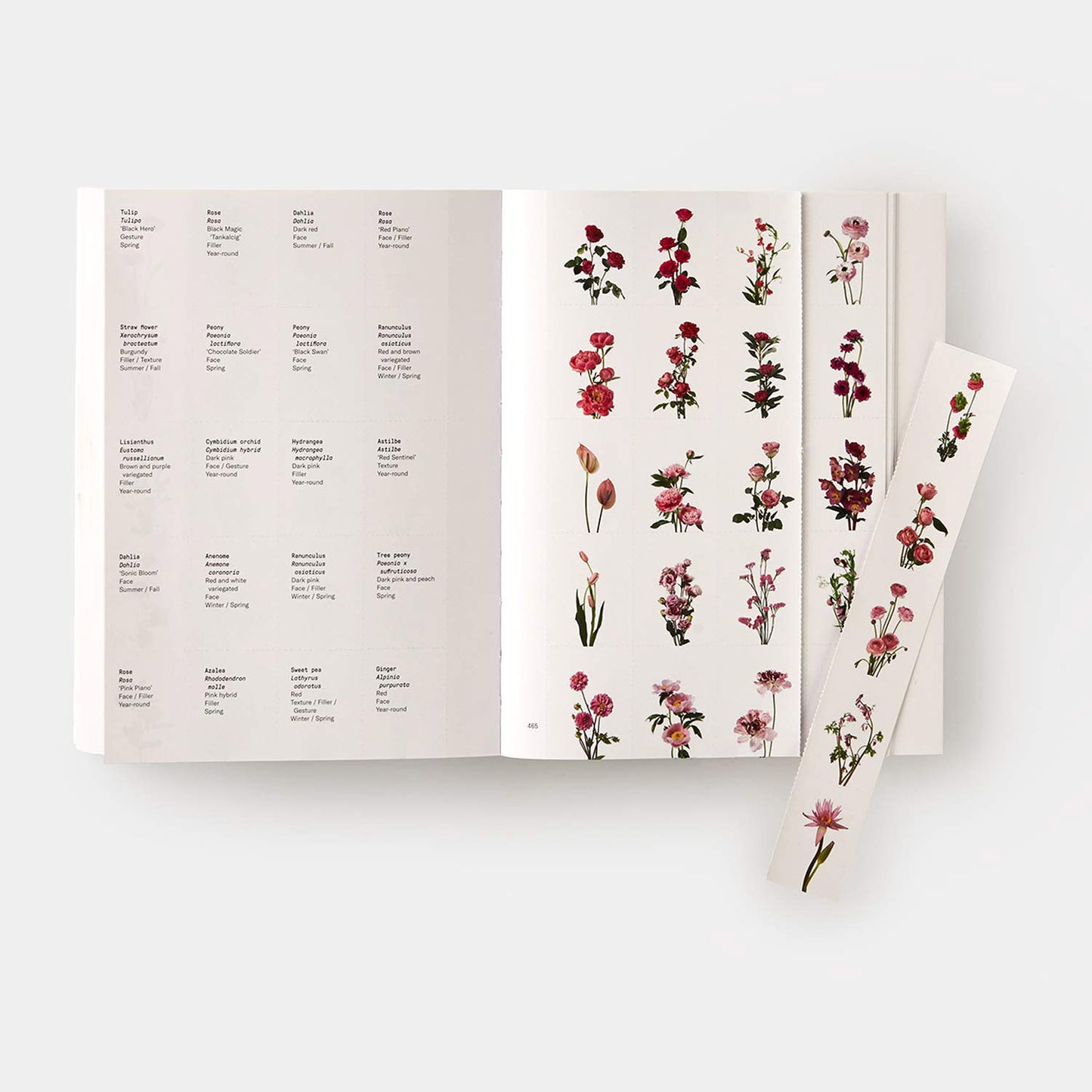 Flower color guide book with tear out cards