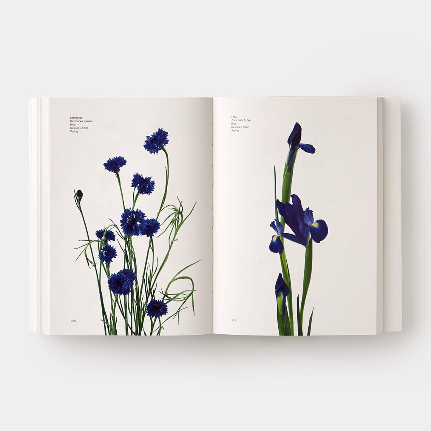 Flower Color Guide Book interior pages - Cornflower and Iris