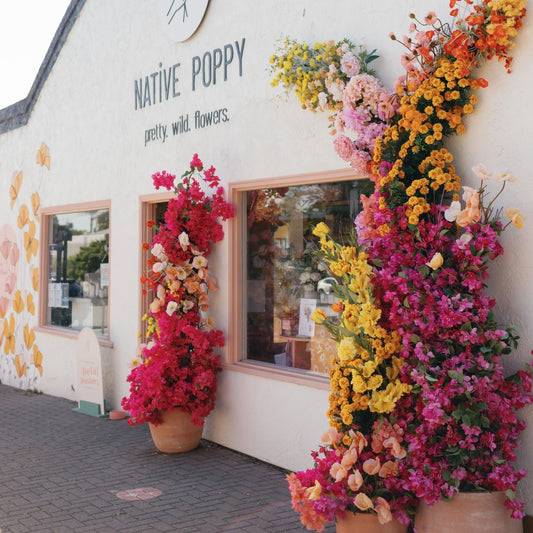 Native Poppy's mural