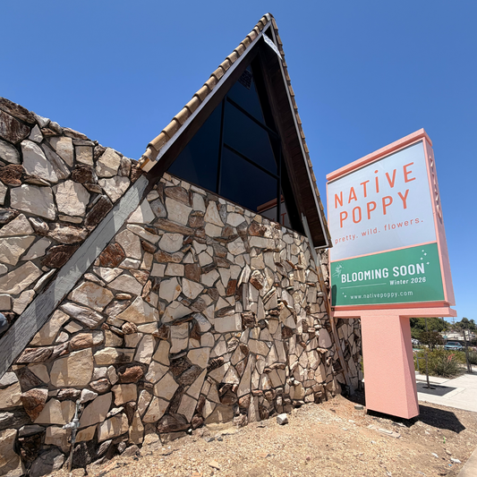 The front view of Native Poppy’s new a-frame studio location in La Mesa.