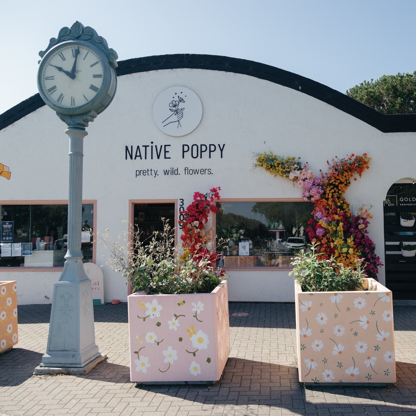 Our California Native Plant Garden, Born from Disaster – Native Poppy