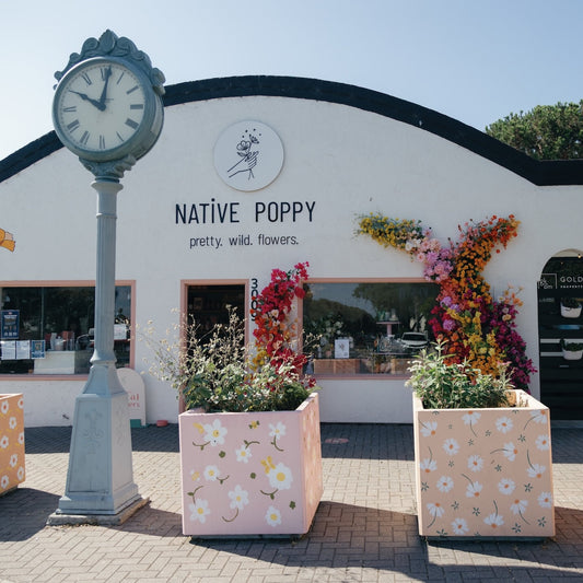 Our California Native Plant Garden, Born from Disaster
