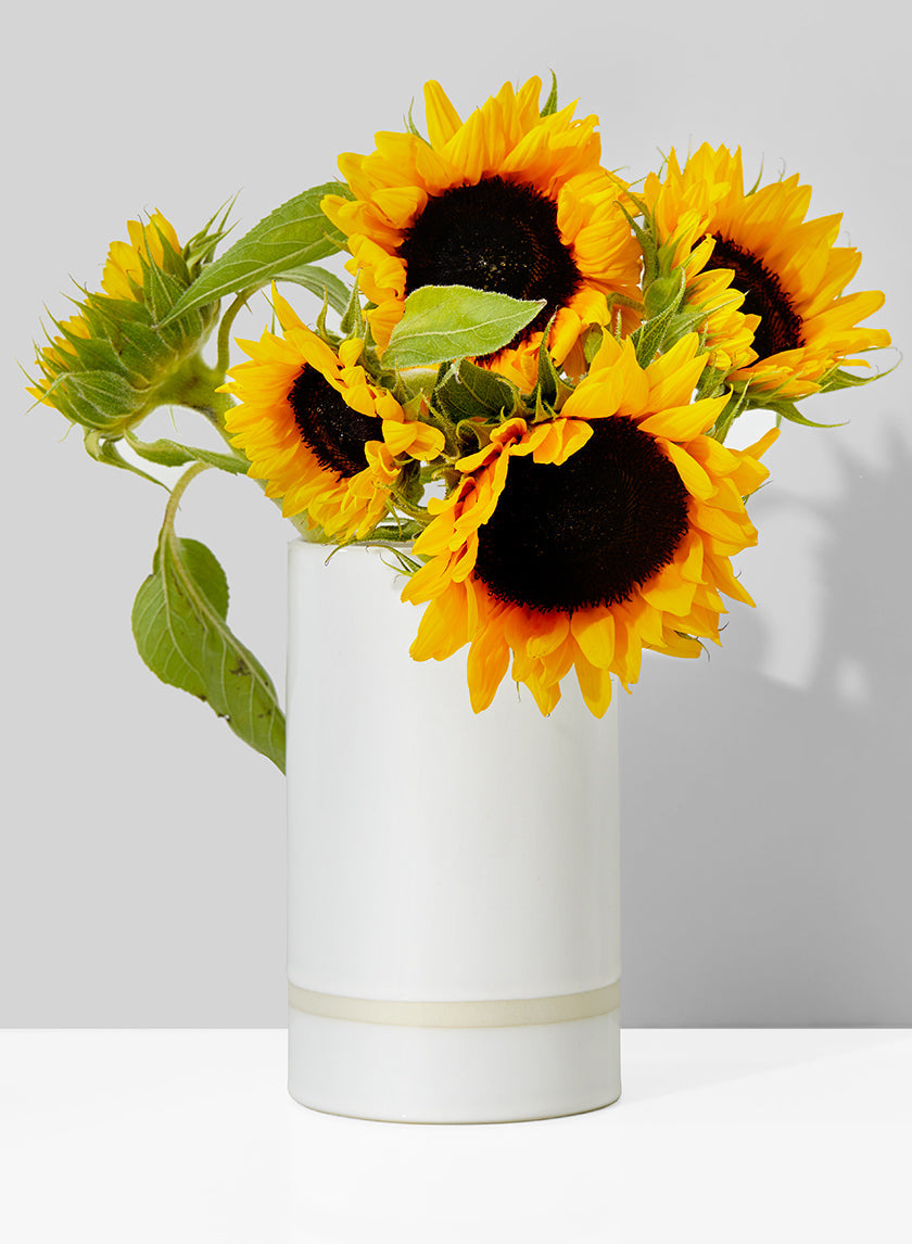 White vase with sunflowers on a light gray background