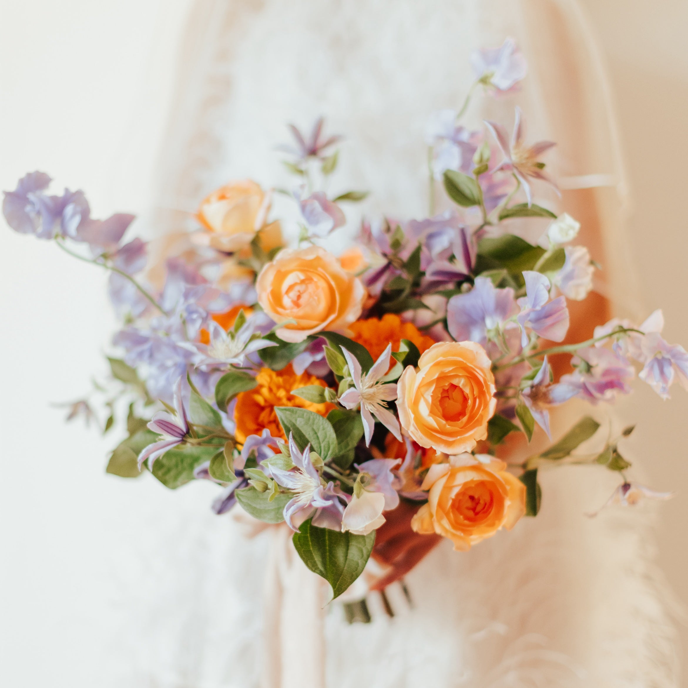 Flower Shop San Diego Native Poppy in San Diego