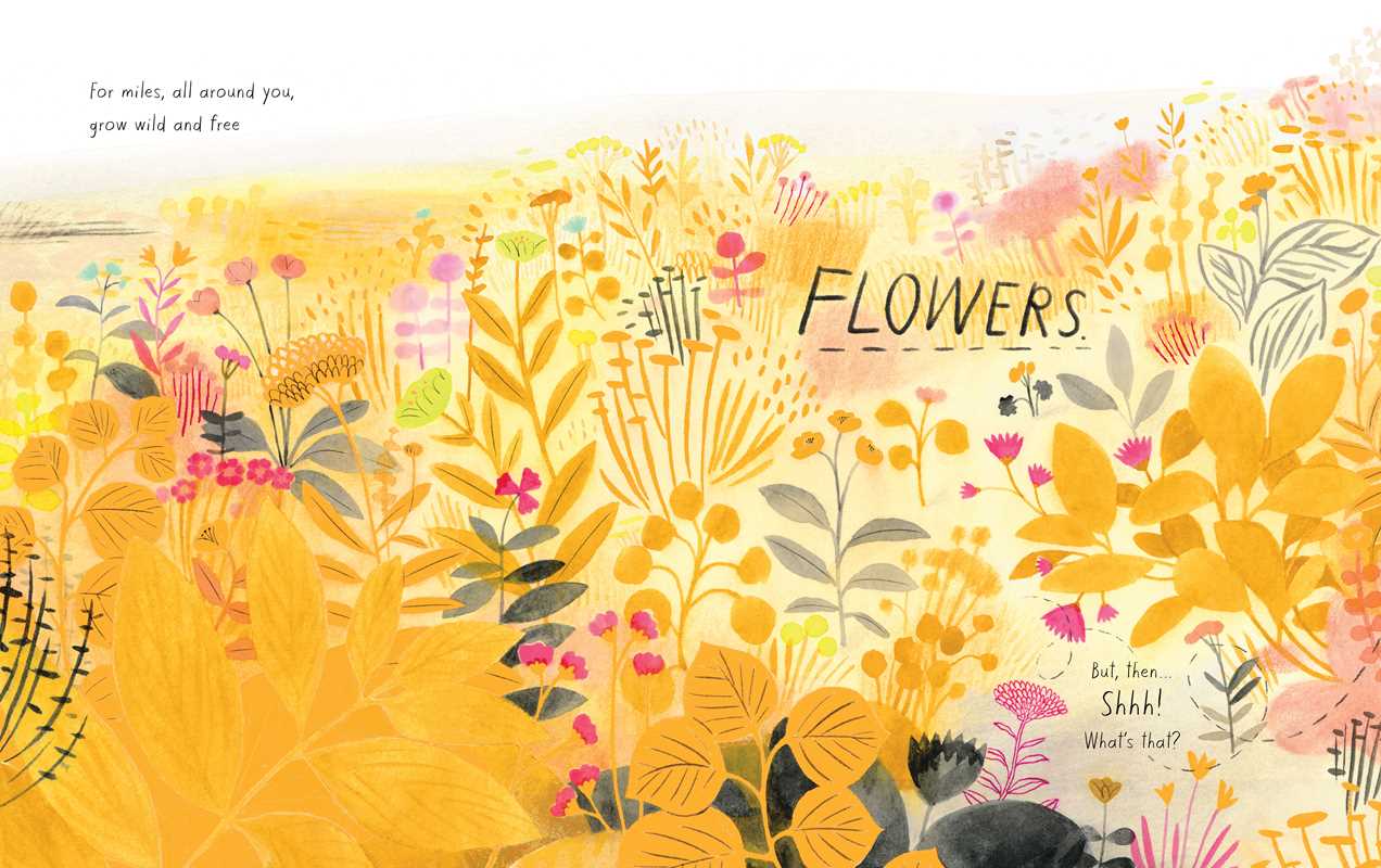Interior pages of Honeybee By Kirsten Hall