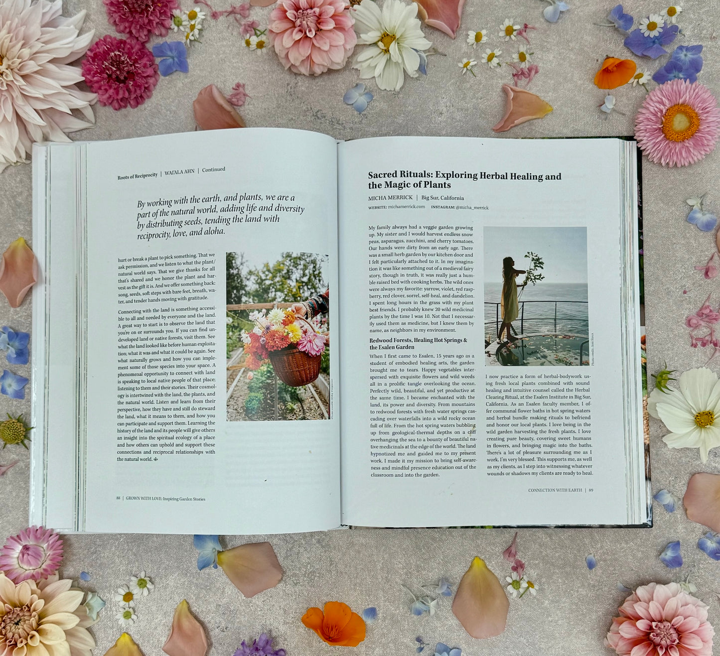 Open book on a surface with flowers and petals around