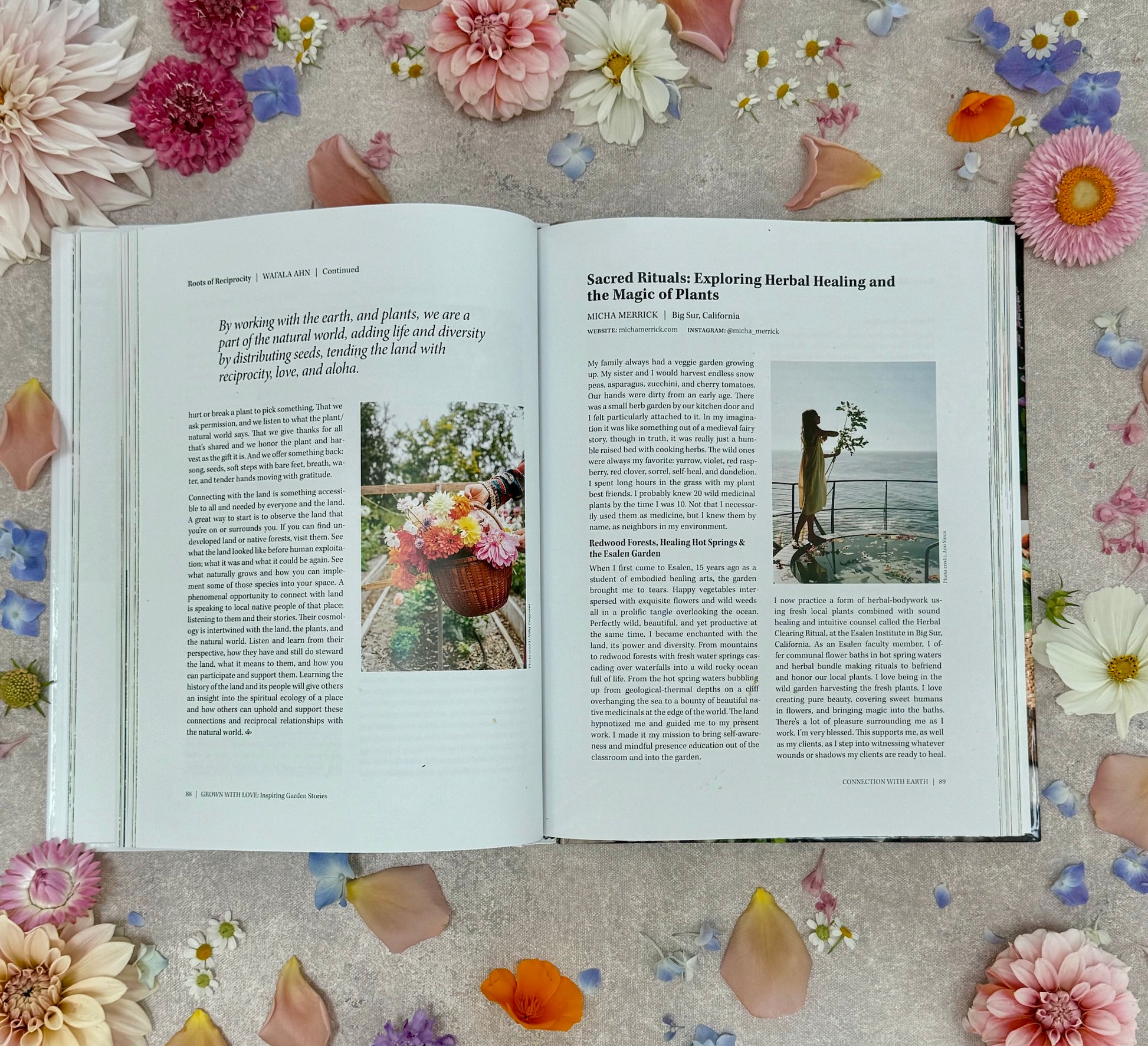 Open book on a surface with flowers and petals around