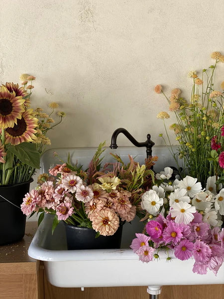 Assorted flowers in pots on a white sink against a beige wall