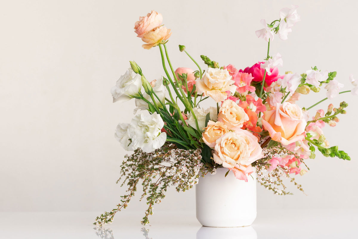 Flower Shop San Diego | Native Poppy in San Diego