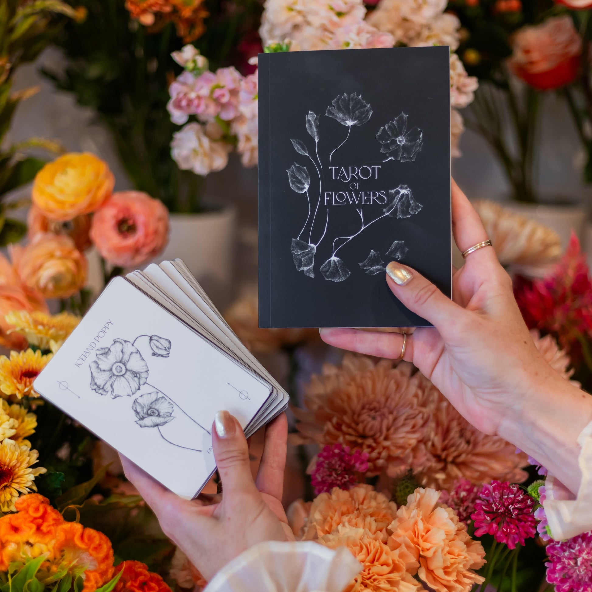 Oct. 19, 2024 - Floral Tarot Reading – Native Poppy