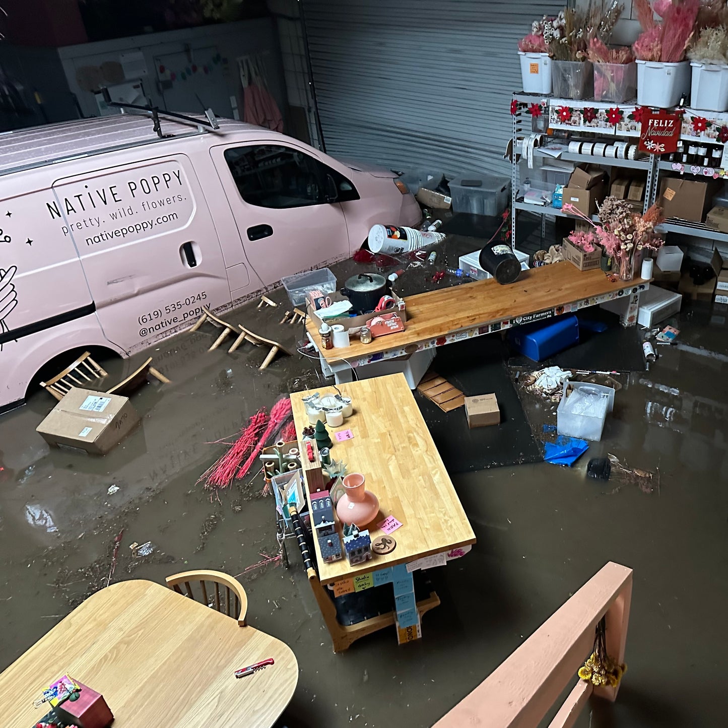 Donation to Native Poppy