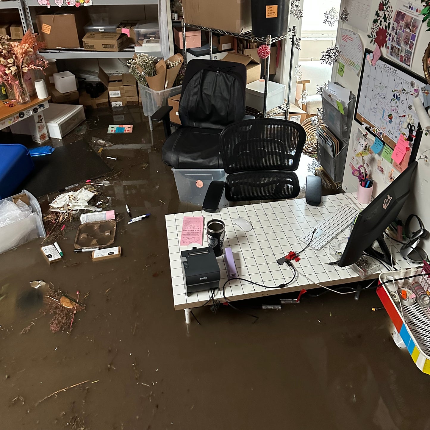 Donation to Native Poppy