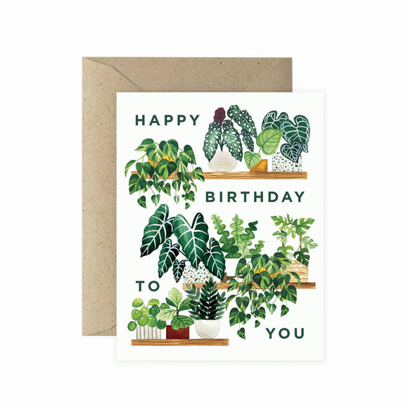 Plant Shelf Birthday Card | Paper Anchor Co.