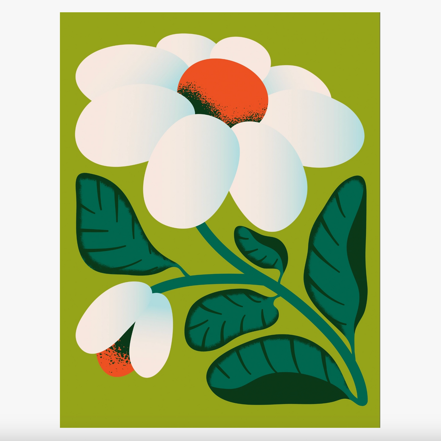 Floral illustration with white flowers and green leaves on a green background