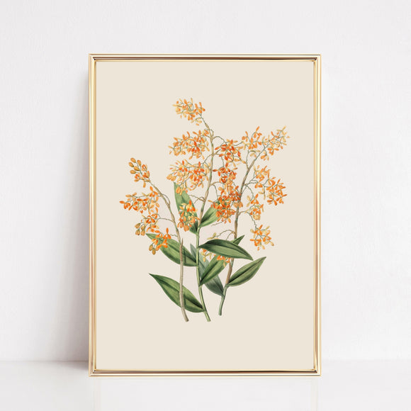 Soft florals art print