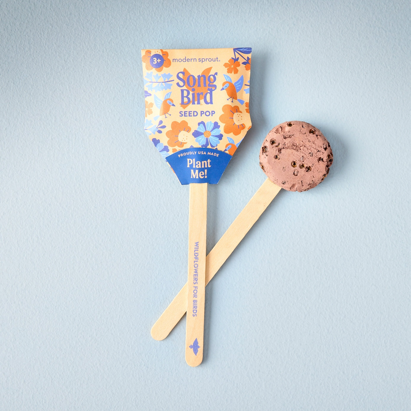 Song Bird Pollinator Seed Planting Pops