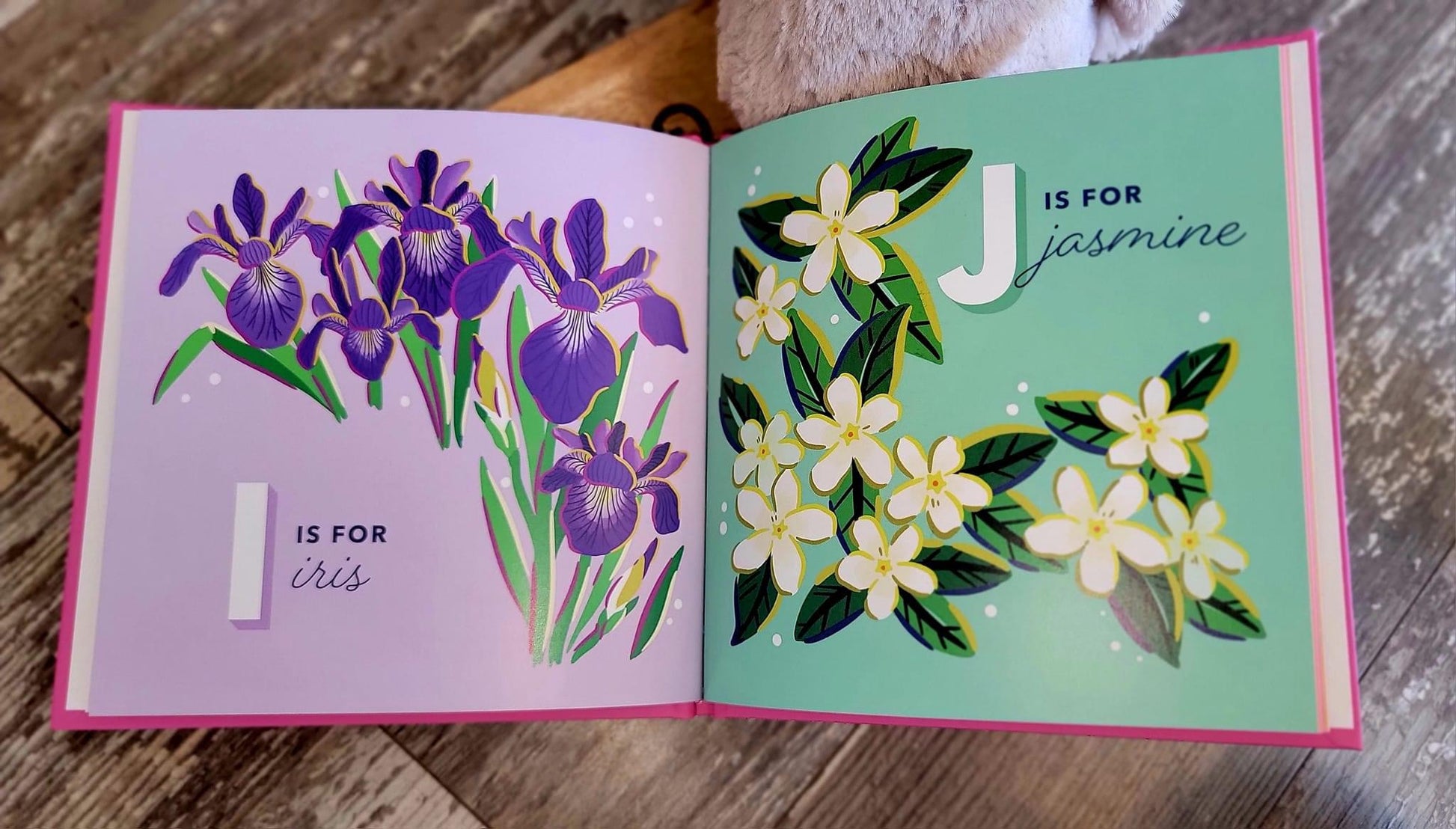 The Alphabet in Bloom Book - iris and jasmine pages