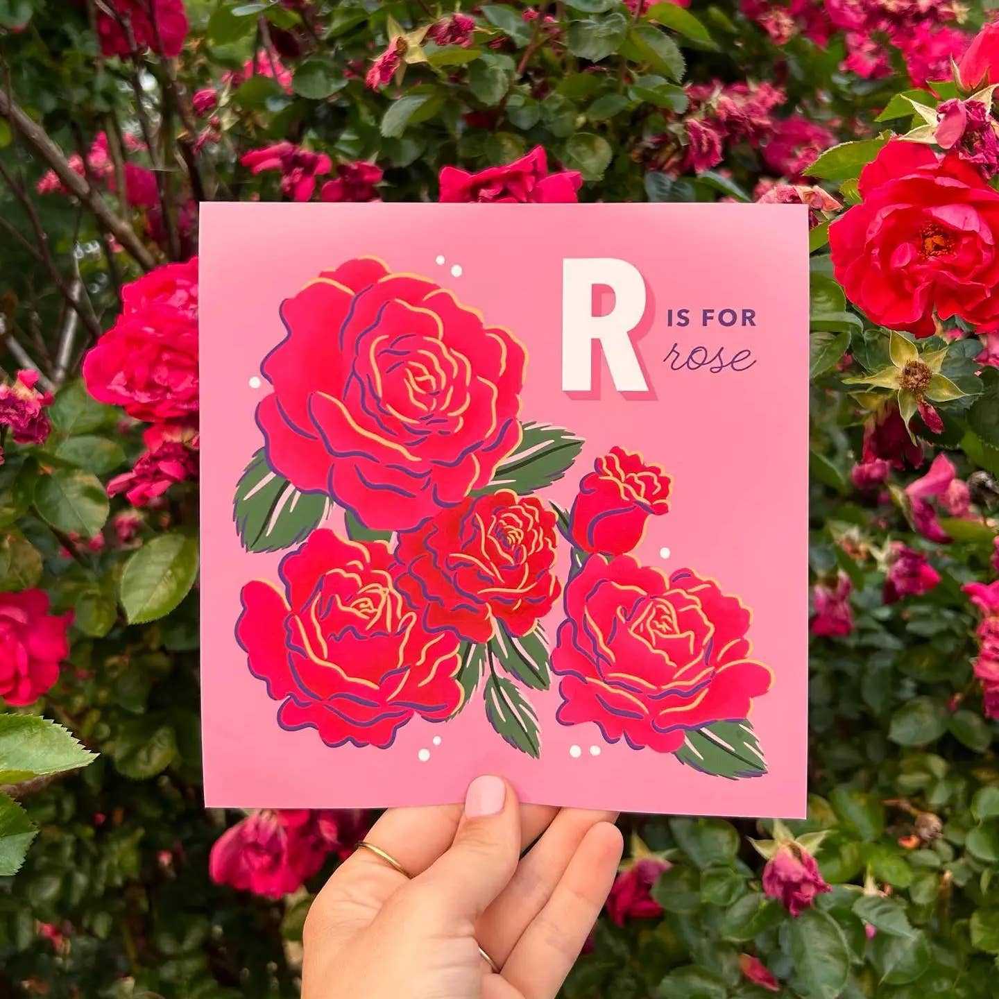 The Alphabet in Bloom Book - rose page