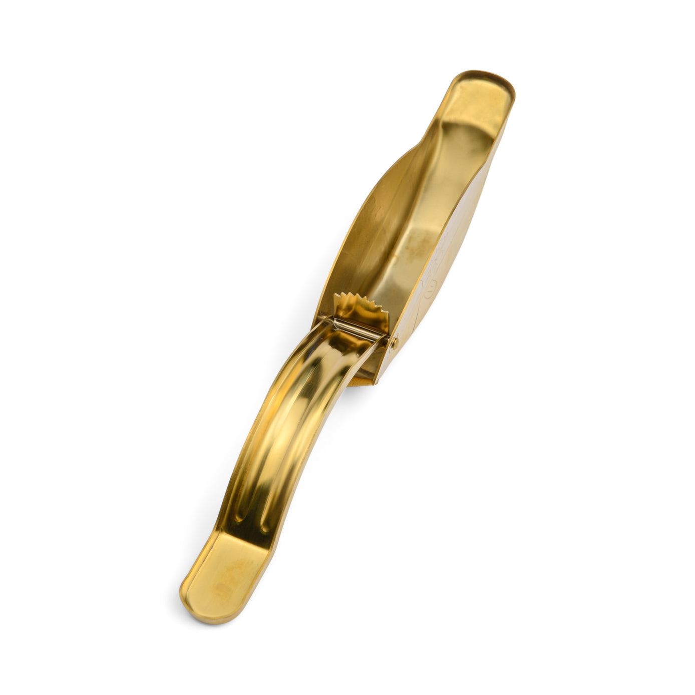 Fish Shaped Citrus Juicer