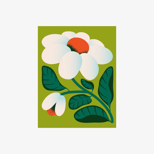 Floral illustration with white flowers and green leaves on a green background