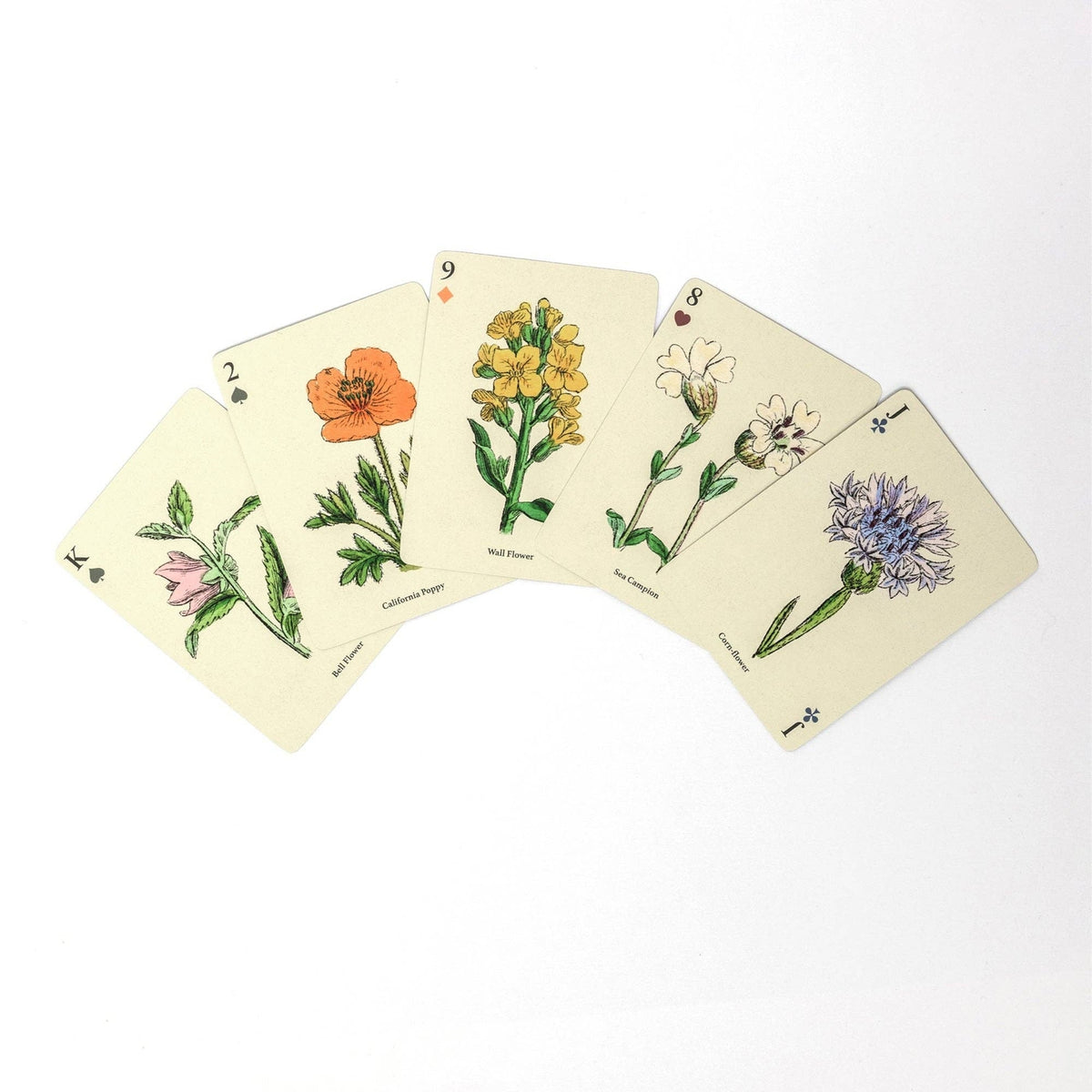 Set of playing cards with floral illustrations on a white background