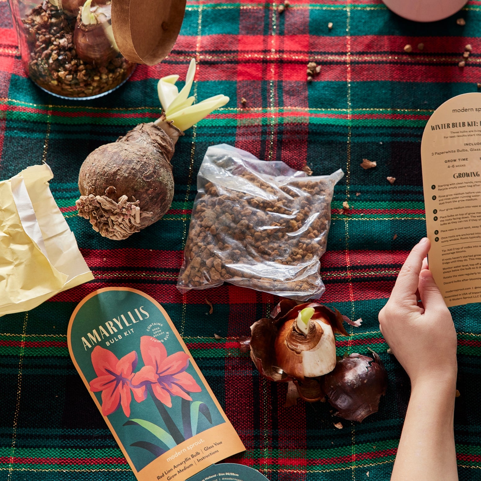Gardening supplies including bulbs and a label on a plaid tablecloth