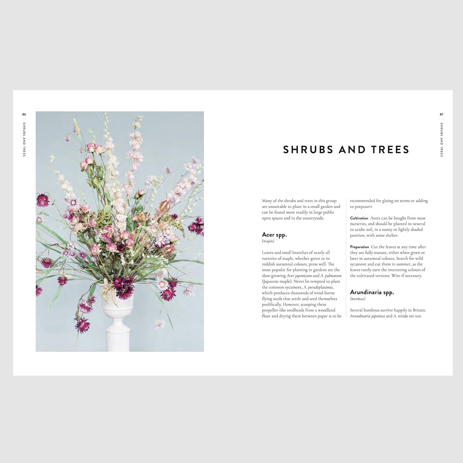 Forever Flowers by Ann Lindsay Mitchell - interior page