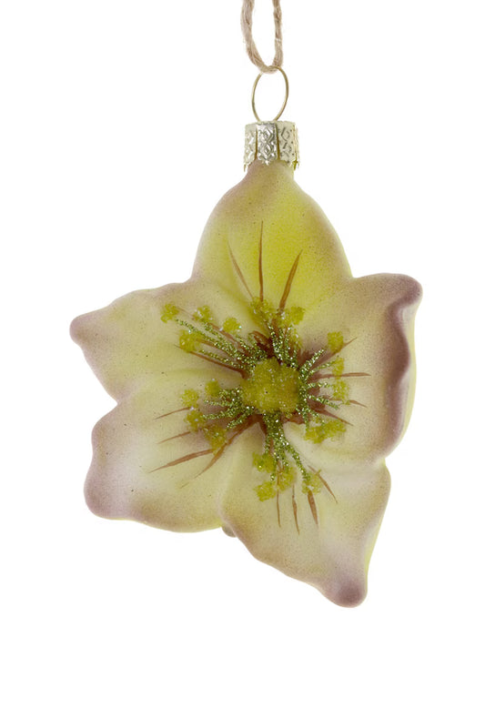 Glass Hellebore Ornament
