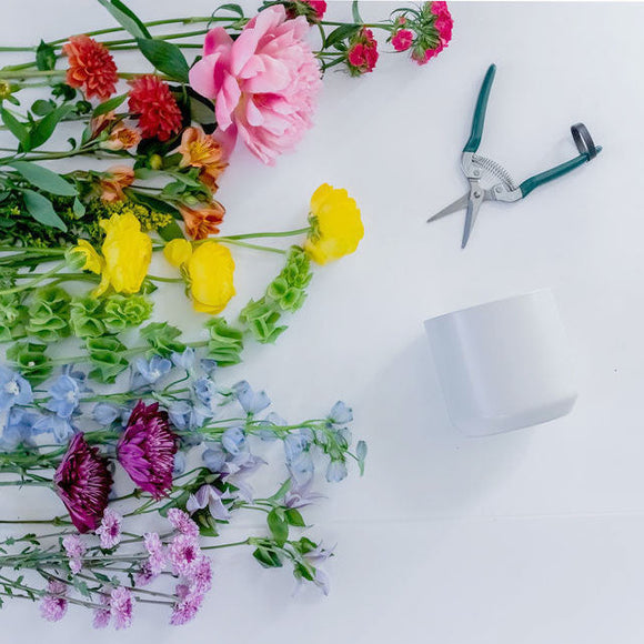Rainbow arranged stems of flowers, with floral snips and a white vase