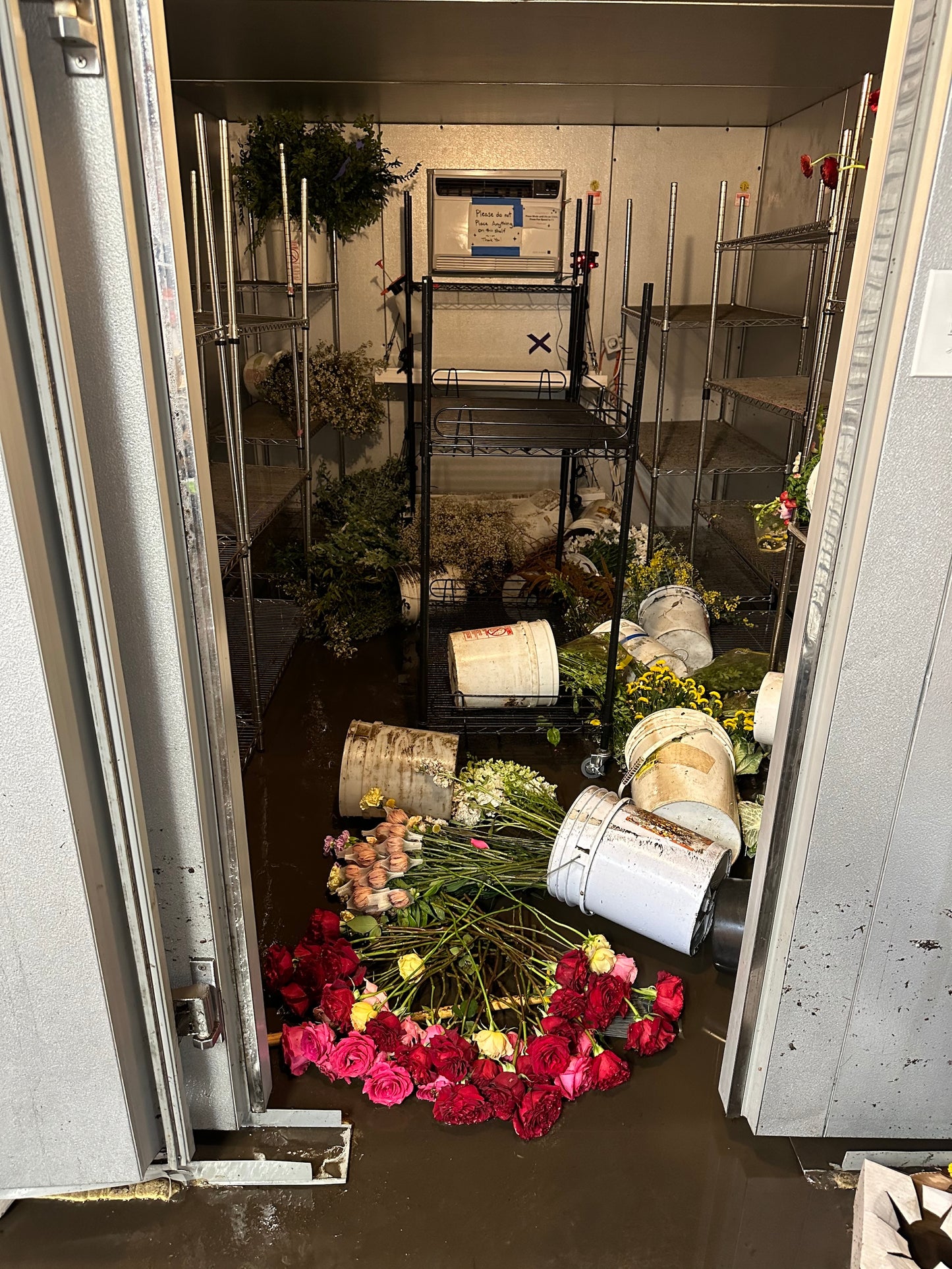Flood damage at Native Poppy in San Diego