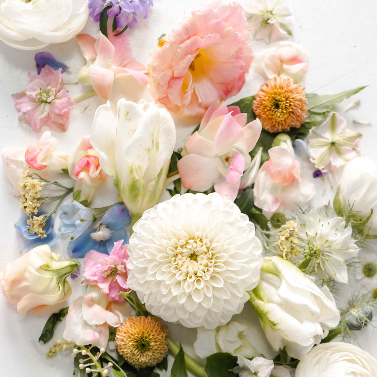 Elegant + Neutral flower color palette from Native Poppy