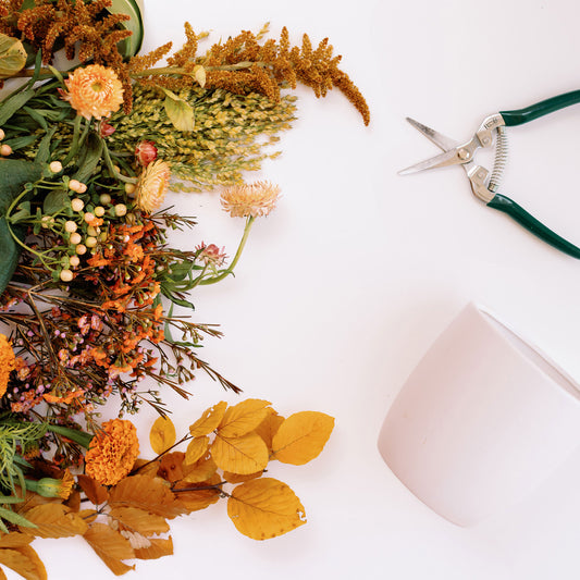 Nov. 17, 2024 - Flower Arranging 101 Workshop - Color Theory Series