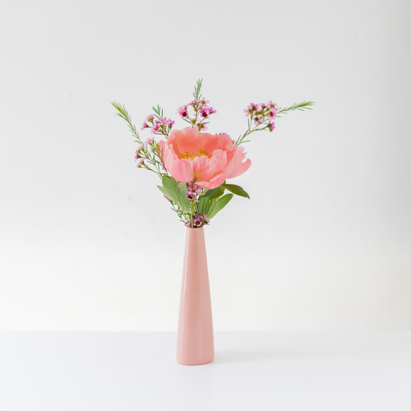 Coral charm peony in a tall pink bud vase