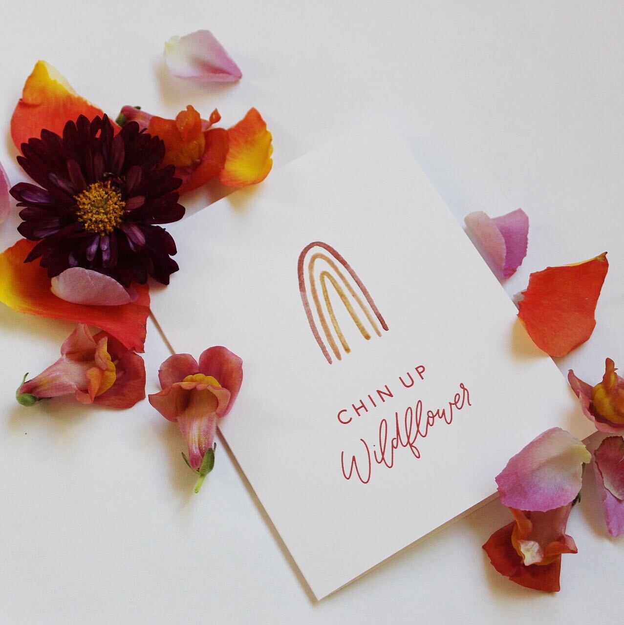 Chin Up Wildflower Card | Native Poppy